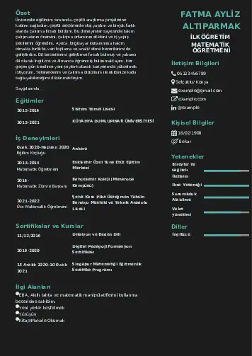 Matematik Öğretmeni Cv Örnekleri cv indir